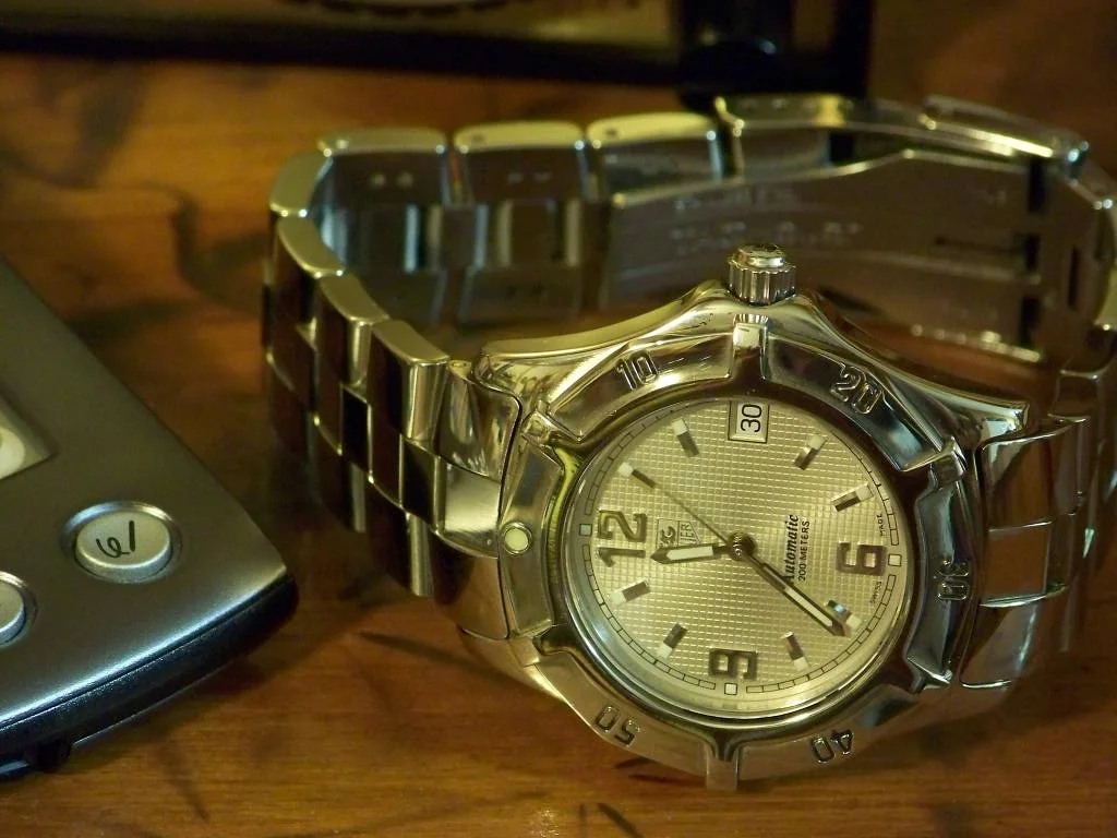 Diver's Watch: A round watch with a marked bezel, luminous markers, crown guards, and a substantial case.